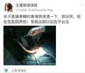 黄鳝女主播违法,网络直播乱象的警示与反思
