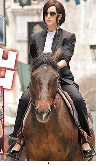 香港演员骑马,一场别开生面的骑马秀