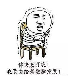 下去吧素素表情包,网络潮流下的趣味演绎