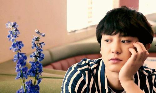 朴灿烈小说娱乐圈恋爱,朴灿烈与娱乐圈的甜蜜邂逅