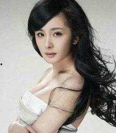 娱乐圈之杨幂被,娱乐圈的璀璨明星之路